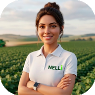 Nelli